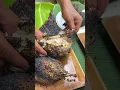 Download Lagu EPIC Catch \u0026 Cook: Grilling 4 FRESH Fish Over Open Fire! 🐟🔥 (From River to Plate!)