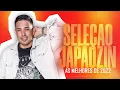 Download Lagu JAPAOZIN SELEÇÃO AS MELHORES DE 2022