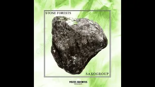 saxogroup stone forests original mix premiere 