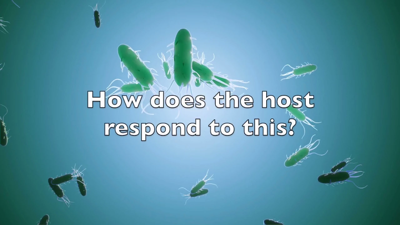 Cholera Mechanism and Pathogenesis