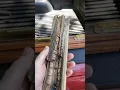 Caradco Window Repair - Part 2