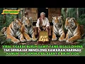 Lagu VIRAL !! KAKEK BURUH SAWIT TAK SENGAJA MENOLONG HARIMAU , 1 HARI KEMUDIAN NASIBNYA BERUBAH