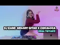 Download Lagu DJ KANE  MELODY GITAR X CHICALOCA X MELODY ZEXXO