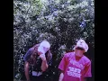 $uicideboy$ - Mount Sinai (Alternative Version) [Prod. Jame$ File$]