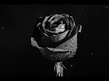 Download Lagu Jangan Marah (Baby Sayang) - UNKNOWN♬ (Lyrics)