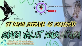 Download ST King Birahi As Terbaru Ini Bos | Suara Walet Terbaru MP3