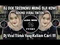 Download Lagu DJ DEK TRESNOKU MUNG SIJI KOWE🌀SOUND AKU CAH KERJO REMIX VIRAL TIKTOK TERBARU