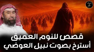 قصص هادئة للنوم العميق استرخ ودع عقلك يسافر مع نبيل العوضي  قصص هادئة للنوم العميق استرخ ودع عقلك يسافر مع نبيل العوضي