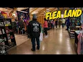 Flea Land In London Ky
