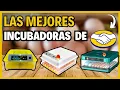 Mejores Incubadoras de MERCADO LIBRE en 2026 Incubadoras de Huevos