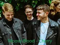 Cherry - Moose Blood lyrics