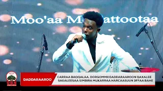 Carraa Baqqalaa Dorgommii Daddaraaroon Qaxalee Sagaleesaa Simbira Mukarraa Harcaasuun 3ffaa Bahe 