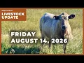 A big drop in cattle prices Weekly Livestock Market Update