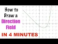 4 MINUTE TUTORIAL on How to Draw a DIRECTION FIELD - Math Tutor Pat