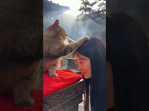 Wise Cat Blessing!