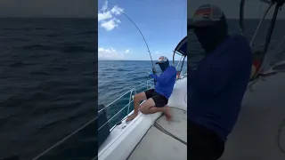 Our First Fish! #fishing #baracuda #sailingbyefelicia