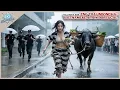 Download Lagu Crazy Girl Escaped Mental Hospital And Was Shockingly Proposed To By A Passing CEO As Contract Wife