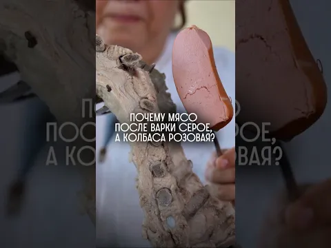 Почему мясо после варки серое, а колбаса розовая?