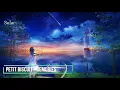 Nightcore -Memories (Petit Biscuit)