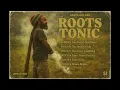 Download Lagu Roots Reggae (1973) [Unreleased Album] The Zion Medics - Roots Tonic