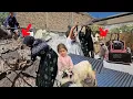 Download Lagu Digging the rock to build the house by the nomadic woman