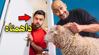 داهمت اعضاء باور بأغرب الاشياء !