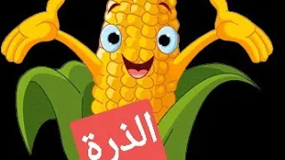 اغنية الذرة بدون ايقاع طيور بيبي 