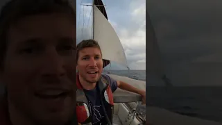 #trysail #settingsail #raisingsail #sailing #oceansailing
