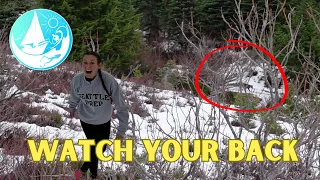 Getting stalked by a cougar