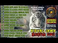KIDUNG JAWA | MANTRA SUCI | TEMBANG JAWA PALING SAKRAL | KIDUNG TOLAK BALAK