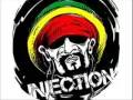 Download Lagu Injection Reggae Bandung Lupakan