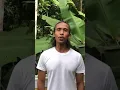 Download Lagu luar biasa !!!!!! Yayan Ruhian - pemain film actor , untuk PGRI BUNGURSARI - Kota tasikmalaya