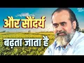Download Lagu और सौंदर्य निखरता जाता है || आचार्य प्रशांत
