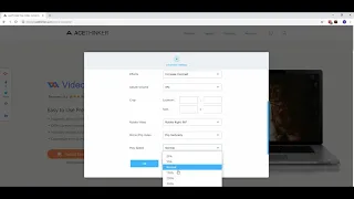 How to Use AceThinker Online Converter