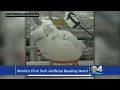 Download Lagu This Is What The First Soft Artificial Heart Looks Like