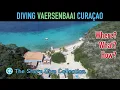 Download Lagu Diving Vaersenbaai (aka Kokomo Beach) Curaçao | The Shore Dive Collection | TropicLens - 4K