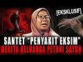 Lagu RUQYAH VS SANTET !! GATAL2 EKSIM PARAHHH UDAH KAYAK ULAR GANTI KULIT (PETANI SAYUR \u0026 SILUMAN ULAR)