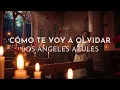 Los Ángeles Azules - Cómo Te Voy A Olvidar (Visualizer)
