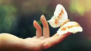 لسه فى الايام أمل دندنها