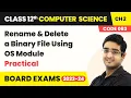 Rename Delete a Binary File Using OS Module - File Handling in Python Class 12 Com Science Ch 2