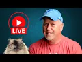 Download Lagu START your Youtube Journey TODAY! Live Q\u0026A and FREE Resources!