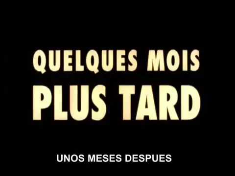Carne   Gaspar Noe