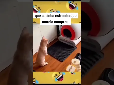 ALEGRIA E DIVERSÃO #humor #foryou #shortsviral #shorts #pets