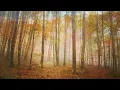 Download Lagu “Autumn Breeze” by James ‘PJ’ Spraggins (ft. Eric Essix)
