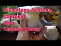 Download Lagu Kentang Gantung Nikmat