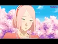 Naruto and Hinata Wedding Last Episode