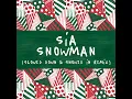 Snowman (Slowed Down)