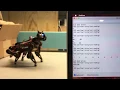 Wirelessly Control Your Nybble Robot Bluetooth Serial Communication Tutorial PetoiCamp
