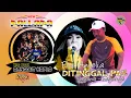 Download Lagu New Pallapa Official | Elsa Amelia | Ditinggal Pas Sayang sayange