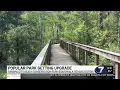 Panama City Beach s Conservation Park is getting some upgrades
